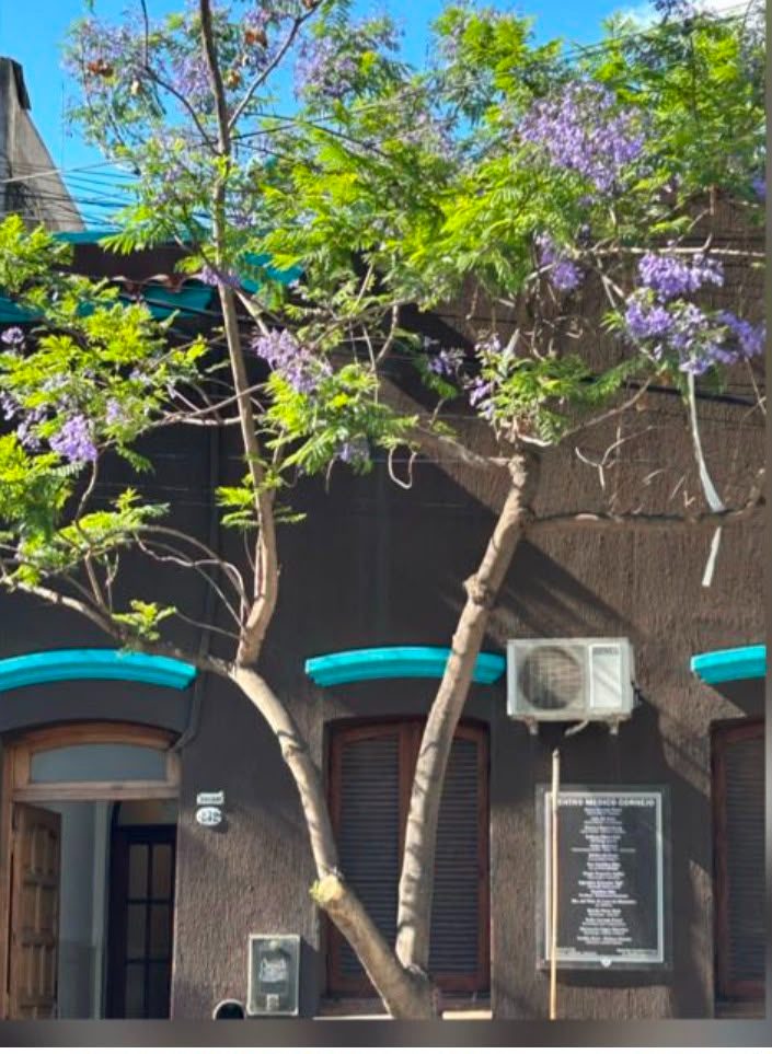 Fachada del Centro Médico Cornejo en Leguizamón 232, Salta.